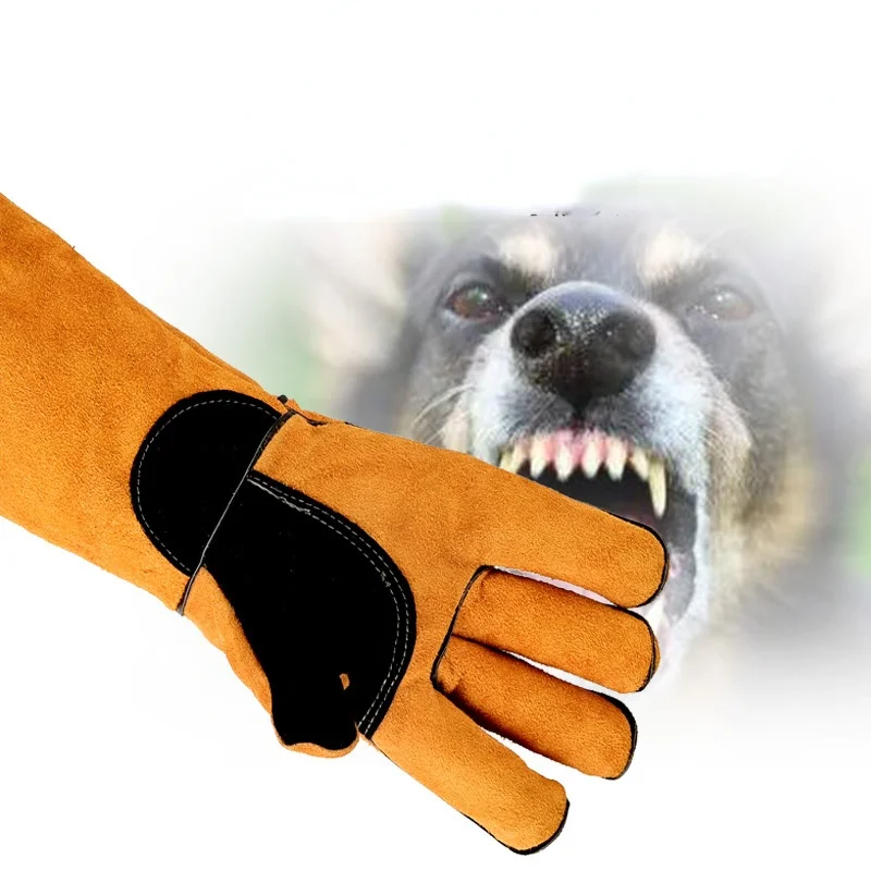 Guantes para mascotas de cuero - Leatherwork Training reseña y precio