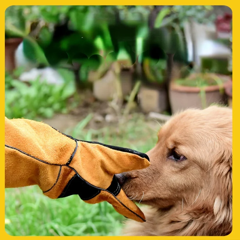 Guantes para mascotas de cuero - Leatherwork Training reseña y precio