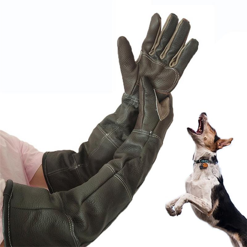 Guantes para mascotas de cuero - Leatherwork Training reseña y precio