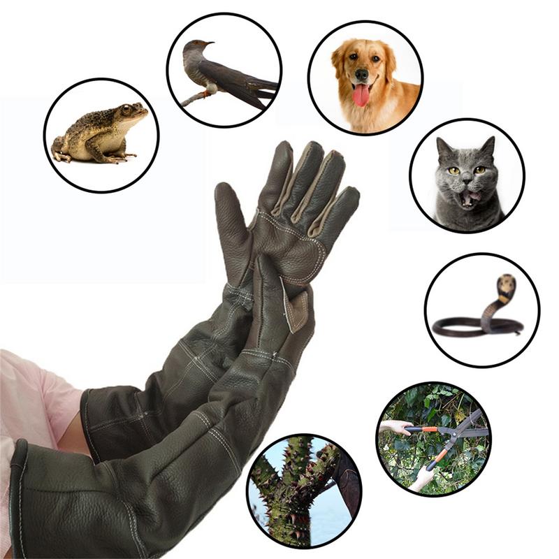 Guantes para mascotas de cuero - Leatherwork Training reseña y precio