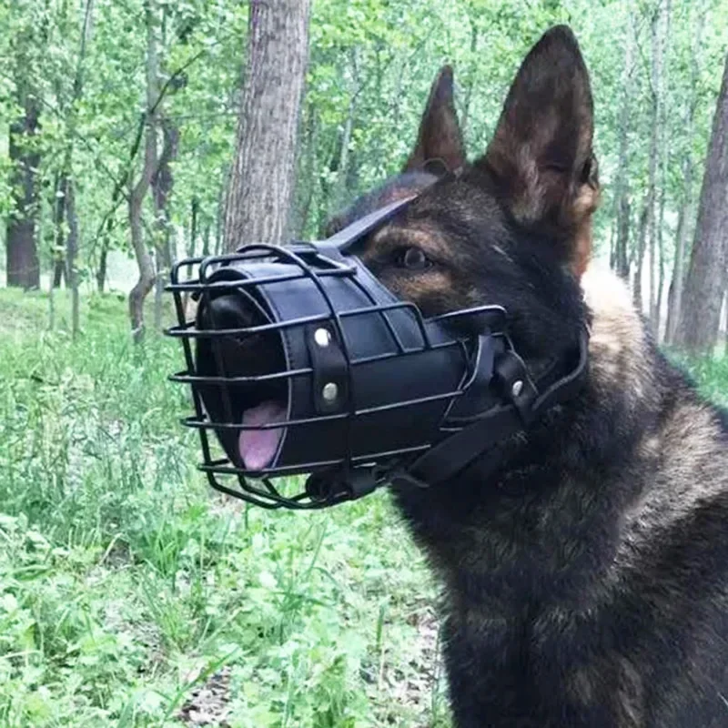 Jaula para la boca para perro  - Leatherwork Training reseña y precio