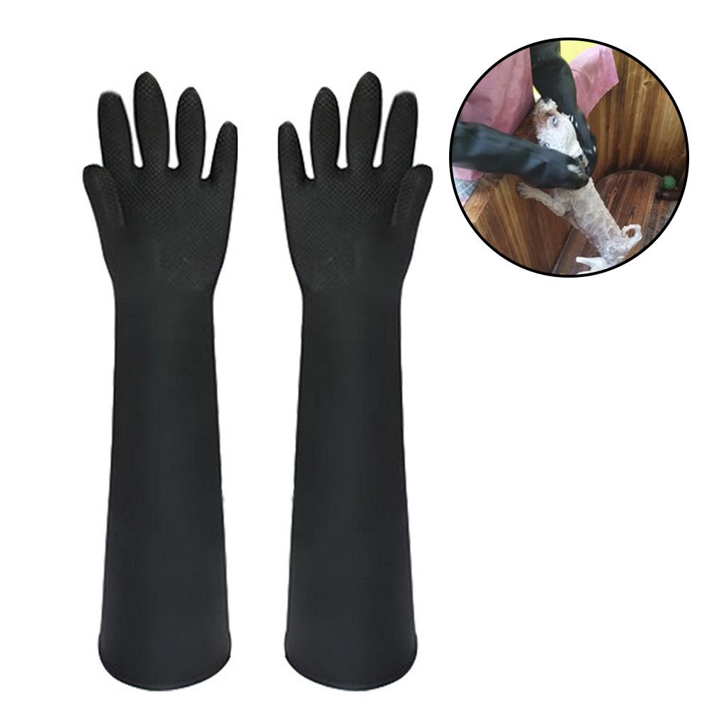 Guantes de cuero para mascotas - Leatherwork Training reseña y precio
