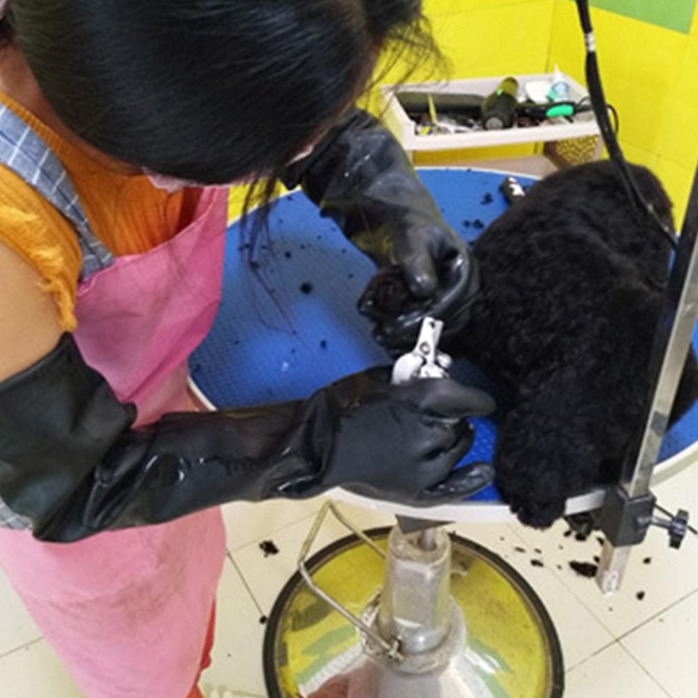 Guantes de cuero para mascotas - Leatherwork Training reseña y precio